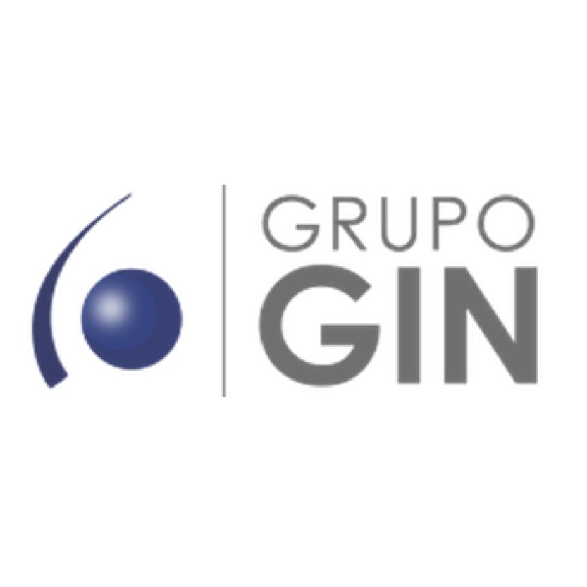 Grupo GIN