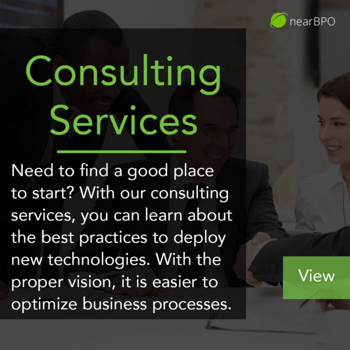 Consulting Services